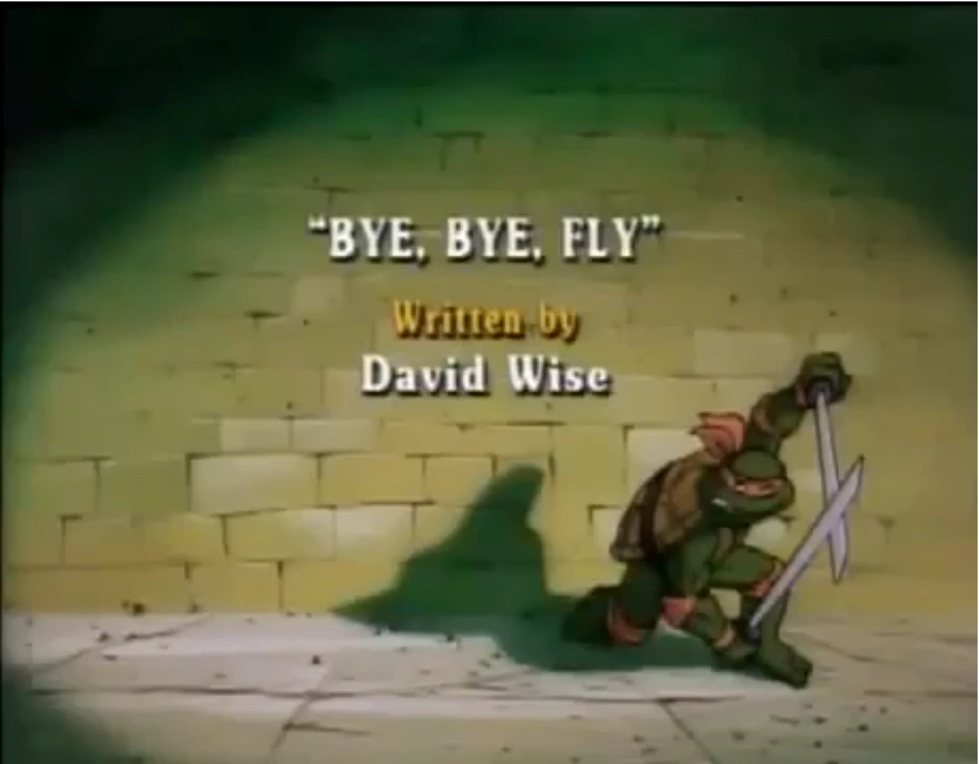 Bye, Bye, Fly title card