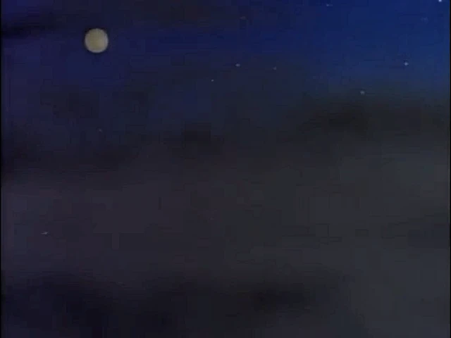 Turtle Tracks screenshot 1