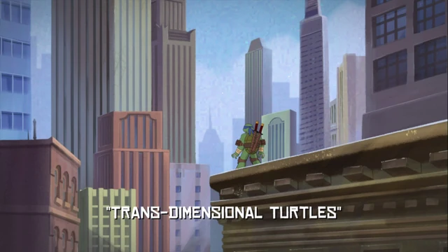 Trans-Dimensional Turtles title card