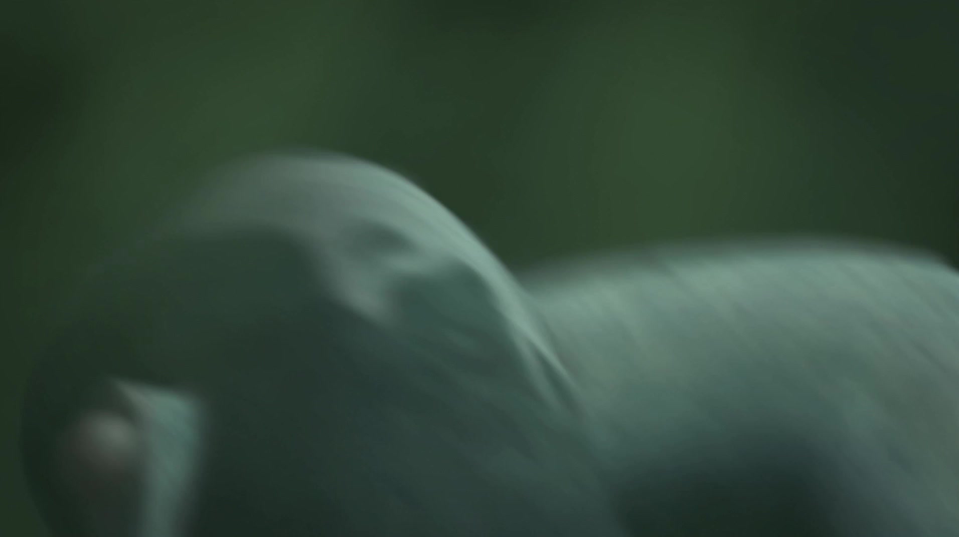 Vengeance Is Mine screenshot 1