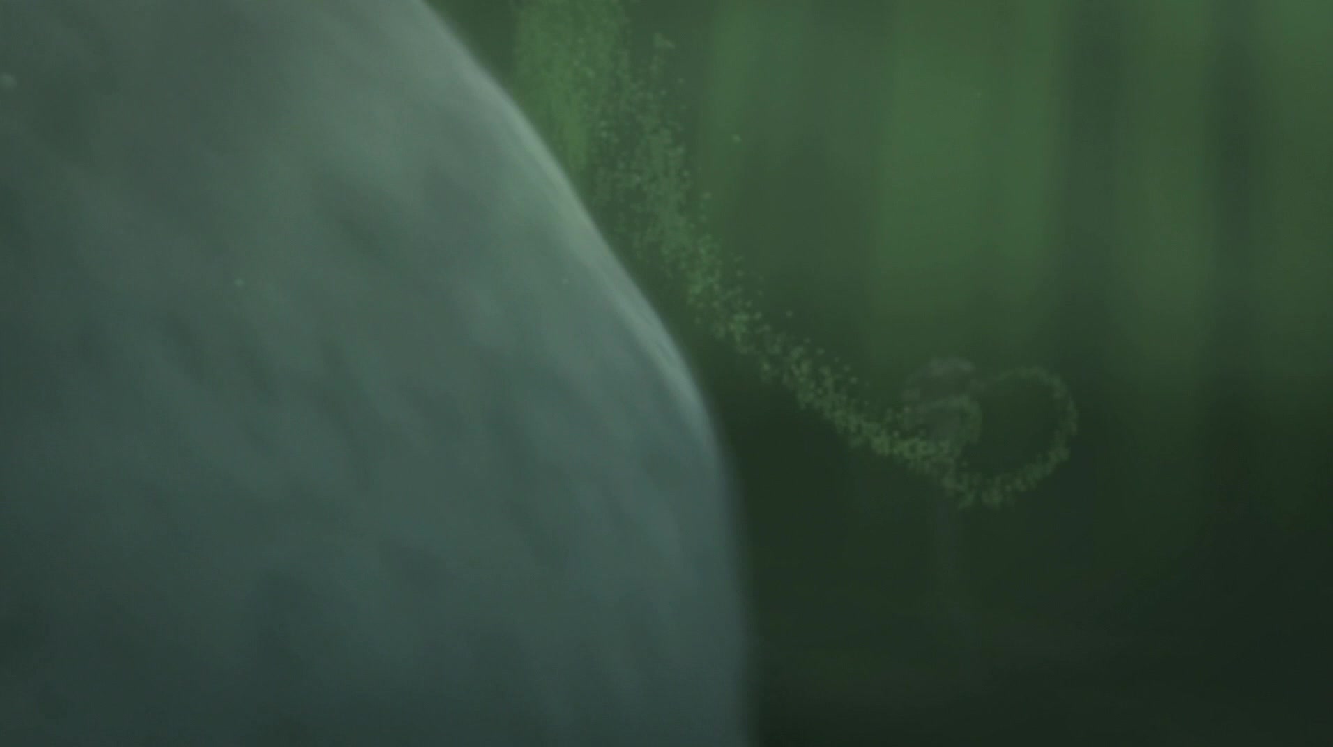 Vengeance Is Mine screenshot 2