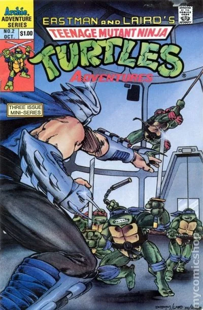 Cover for Teenage Mutant Ninja Turtles Adventures #2
