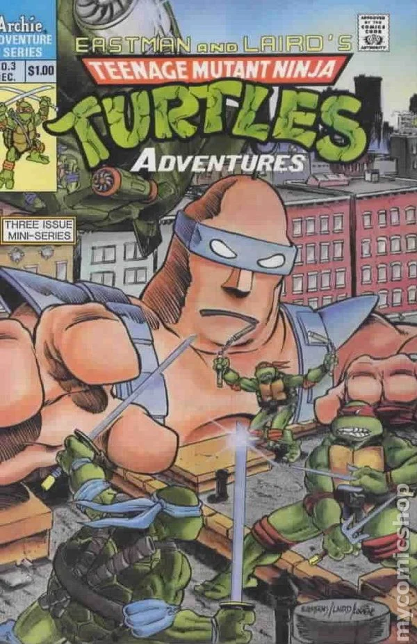 Cover for Teenage Mutant Ninja Turtles Adventures #3
