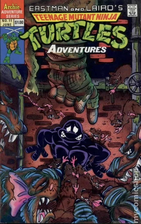 Cover for Teenage Mutant Ninja Turtles Adventures #11