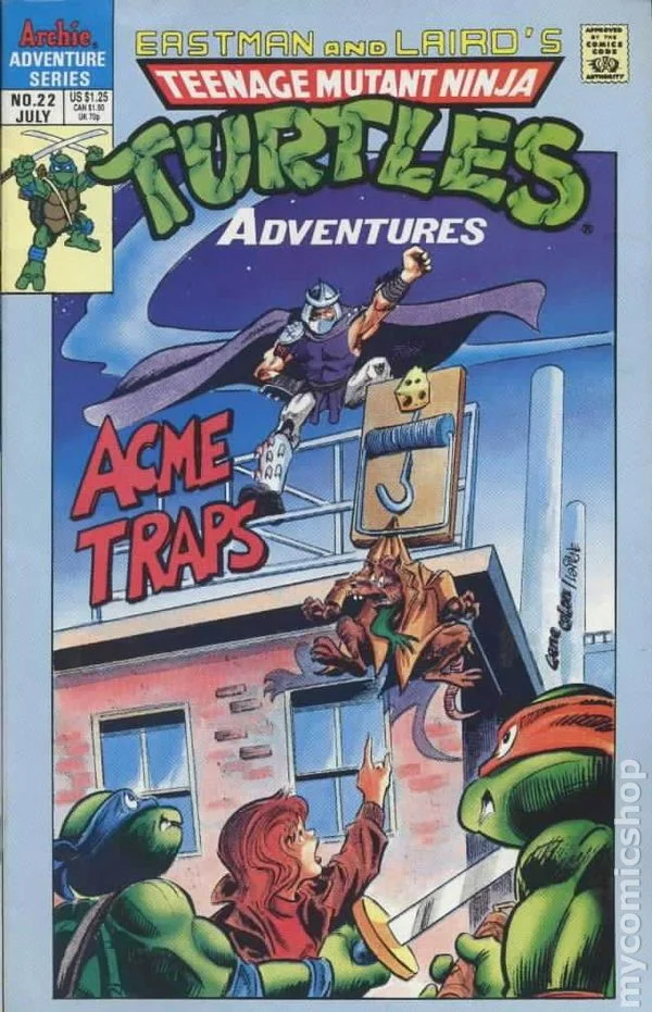Cover for Teenage Mutant Ninja Turtles Adventures #22