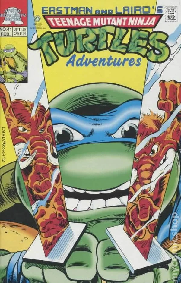 Cover for Teenage Mutant Ninja Turtles Adventures #41