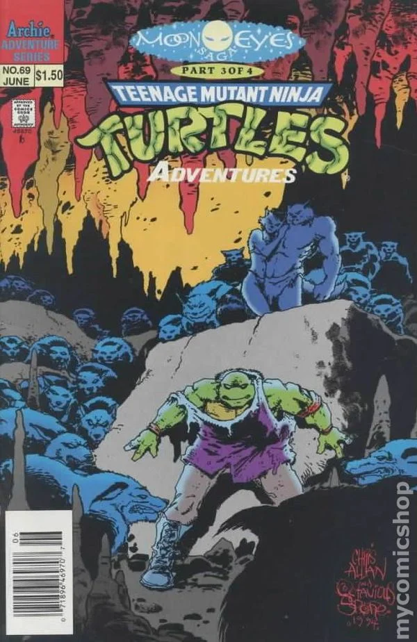Cover for Teenage Mutant Ninja Turtles Adventures #69