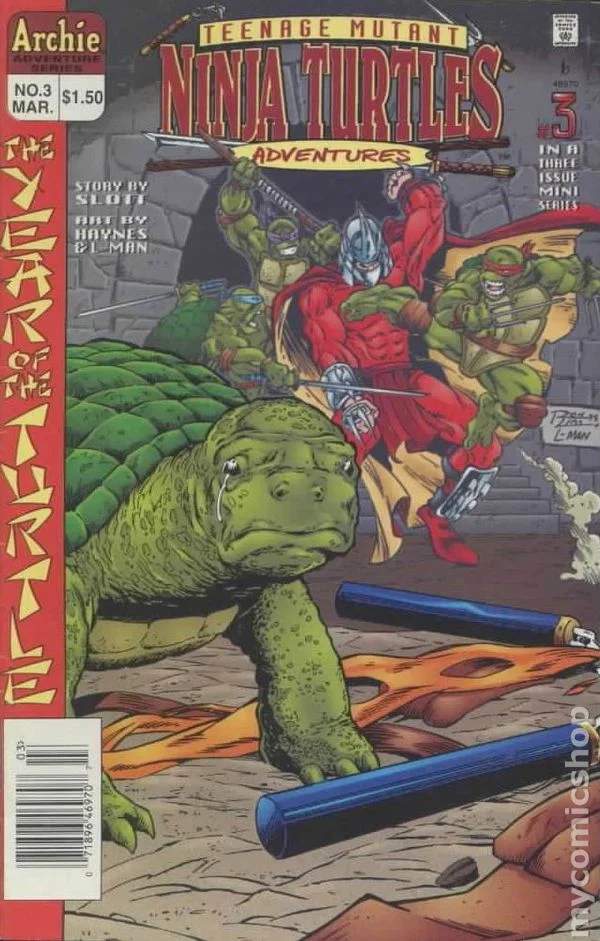 Cover for Teenage Mutant Ninja Turtles Adventures #3