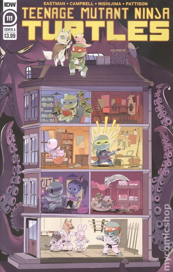 Cover for Teenage Mutant Ninja Turtles #111
