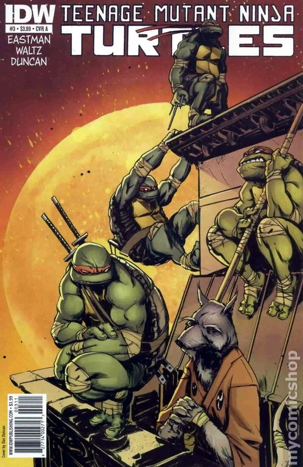 Cover for Teenage Mutant Ninja Turtles #3