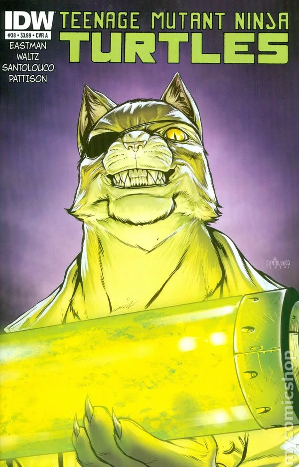 Cover for Teenage Mutant Ninja Turtles #38
