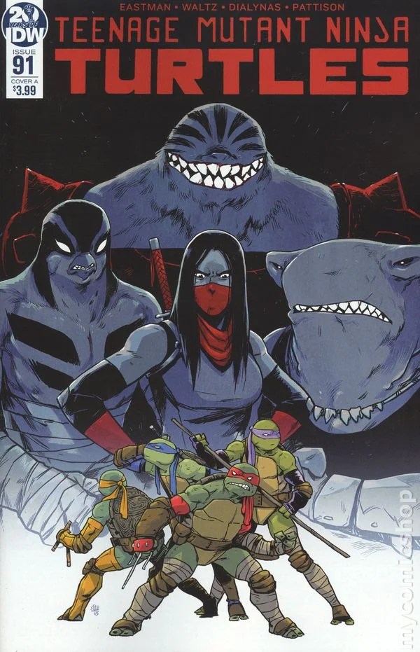 Cover for Teenage Mutant Ninja Turtles #91