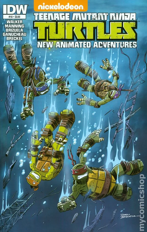 Cover for Teenage Mutant Ninja Turtles New Animated Adventures #18