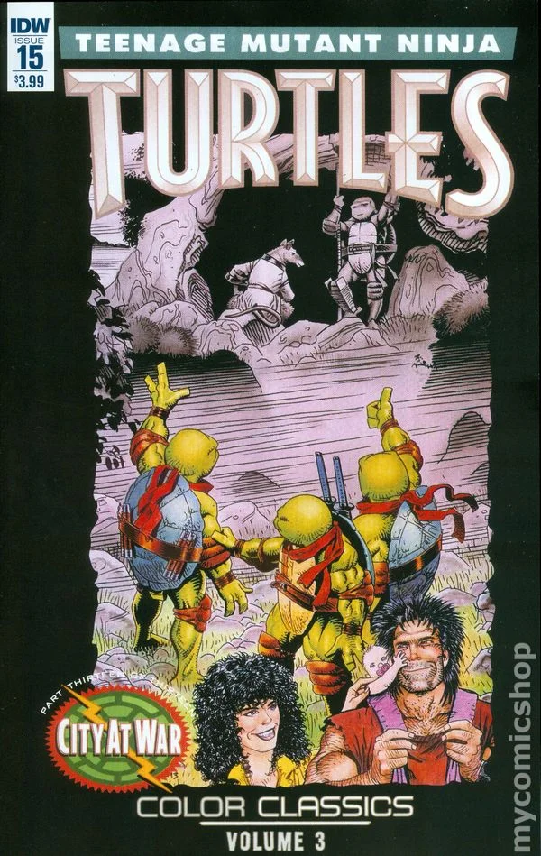 Cover for Teenage Mutant Ninja Turtles Color Classics Vol. 3 #15