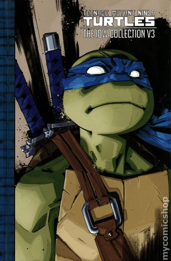 Cover for Teenage Mutant Ninja Turtles: The IDW Collection #3