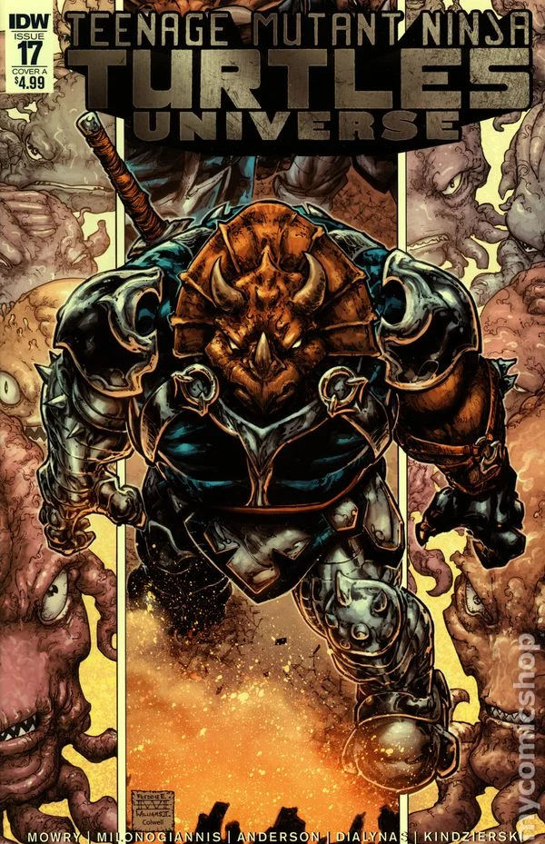 Cover for Teenage Mutant Ninja Turtles Universe #17