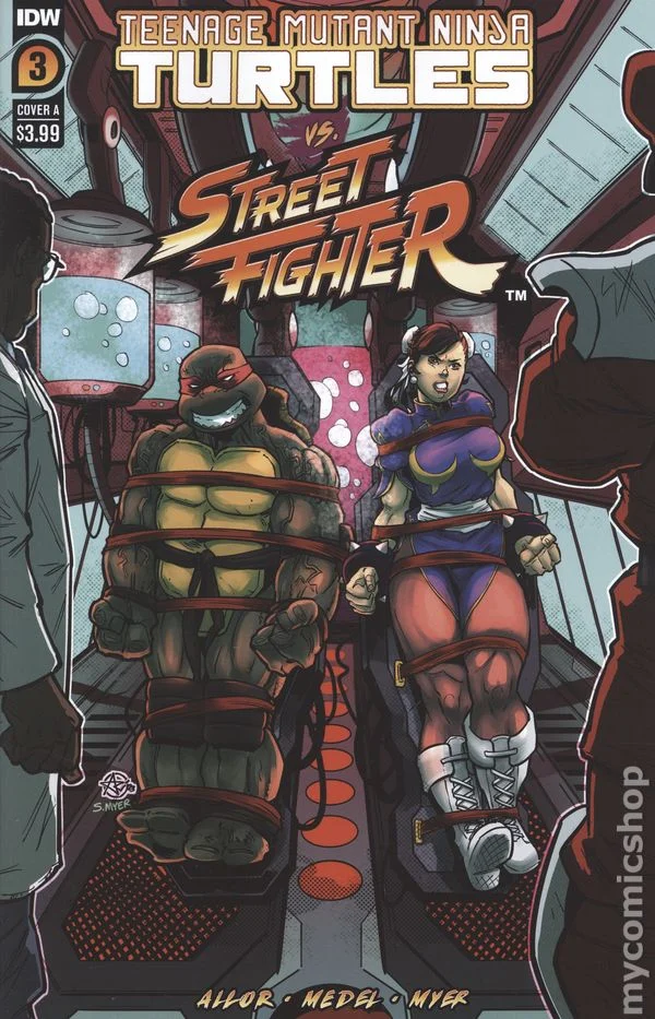 Cover for Teenage Mutant Ninja Turtles vs. Street Fighter #3