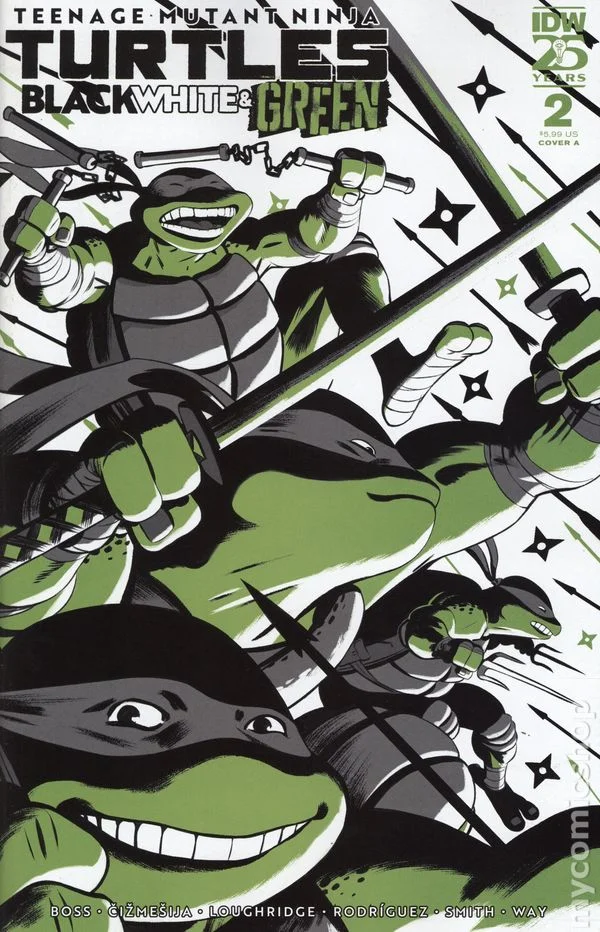 Cover for Teenage Mutant Ninja Turtles: Black White & Green #2