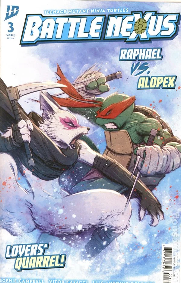 Cover for Teenage Mutant Ninja Turtles: Battle Nexus #3