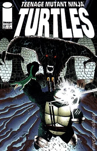 Cover for Teenage Mutant Ninja Turtles #17
