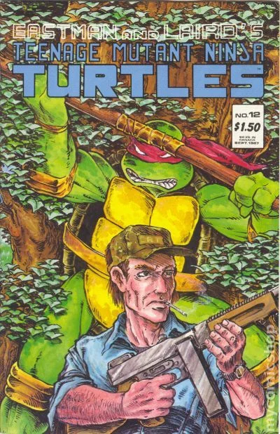 Cover for Teenage Mutant Ninja Turtles #12