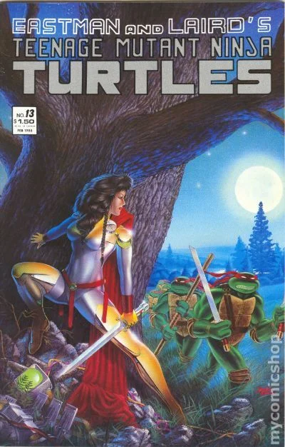 Cover for Teenage Mutant Ninja Turtles #13