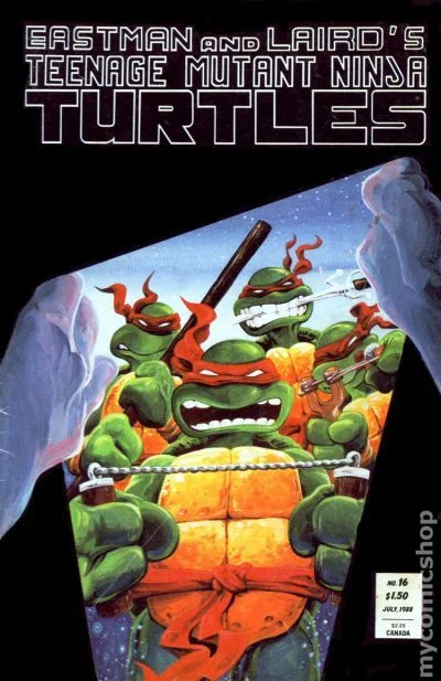 Cover for Teenage Mutant Ninja Turtles #16
