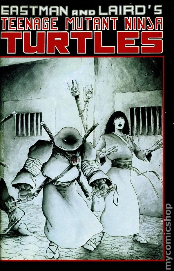 Cover for Teenage Mutant Ninja Turtles #17