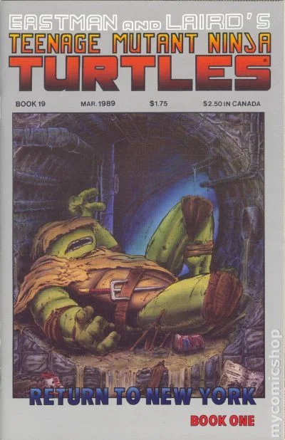 Cover for Teenage Mutant Ninja Turtles #19