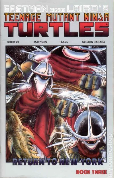 Cover for Teenage Mutant Ninja Turtles #21