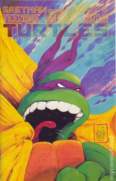 Cover for Teenage Mutant Ninja Turtles #22