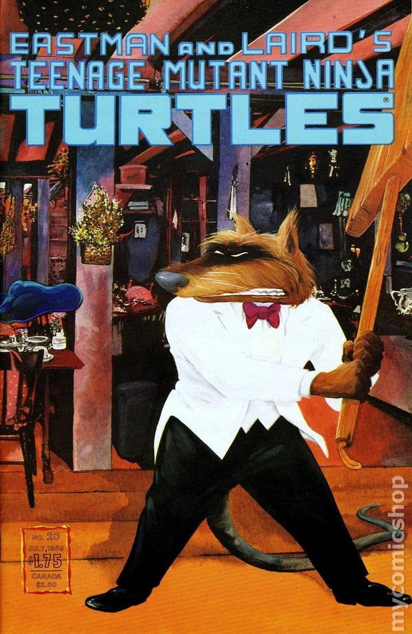 Cover for Teenage Mutant Ninja Turtles #23