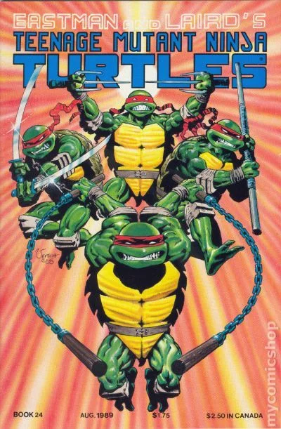 Cover for Teenage Mutant Ninja Turtles #24