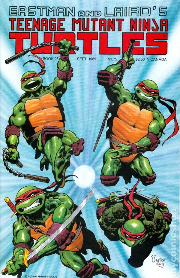 Cover for Teenage Mutant Ninja Turtles #25