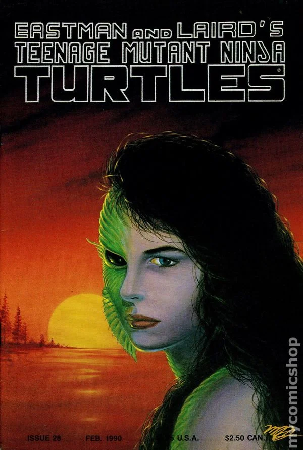 Cover for Teenage Mutant Ninja Turtles #28
