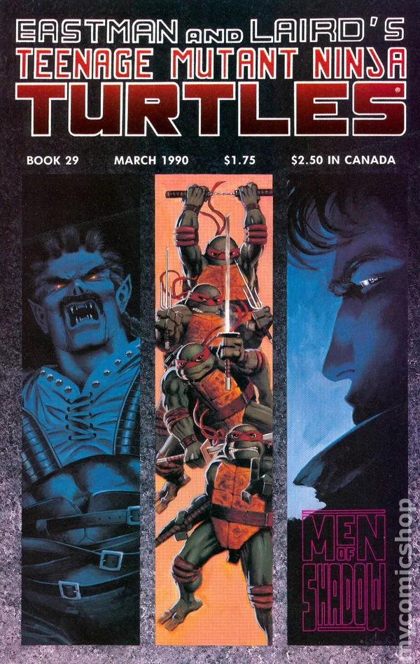 Cover for Teenage Mutant Ninja Turtles #29