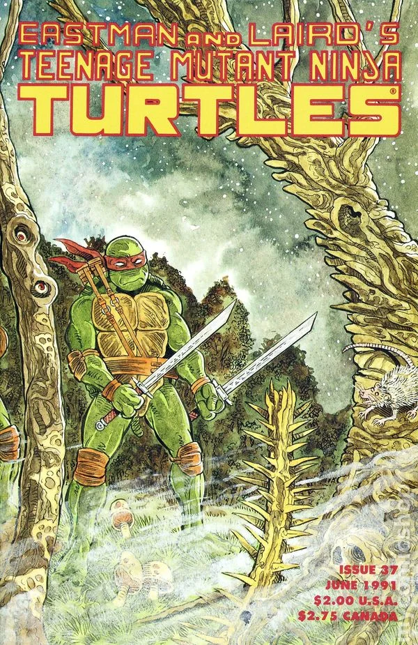 Cover for Teenage Mutant Ninja Turtles #37