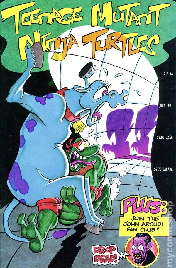 Cover for Teenage Mutant Ninja Turtles #38