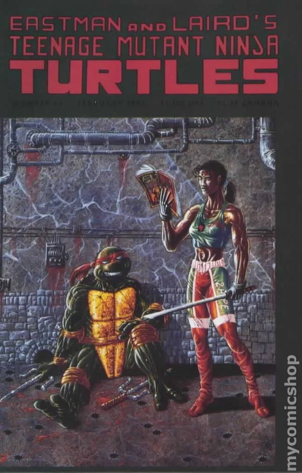 Cover for Teenage Mutant Ninja Turtles #44