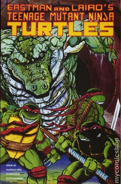 Cover for Teenage Mutant Ninja Turtles #45