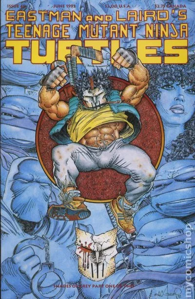 Cover for Teenage Mutant Ninja Turtles #48