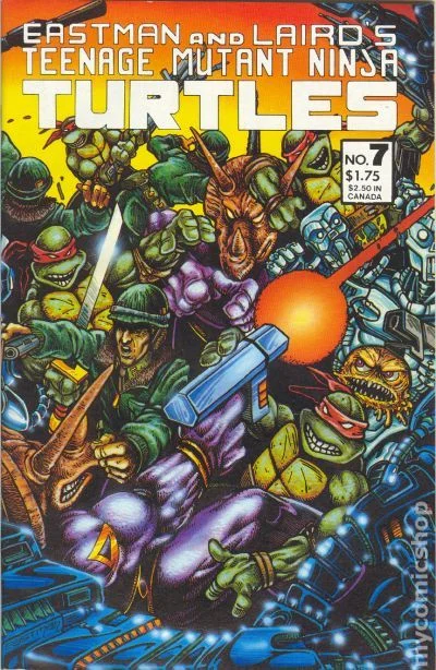 Cover for Teenage Mutant Ninja Turtles #7