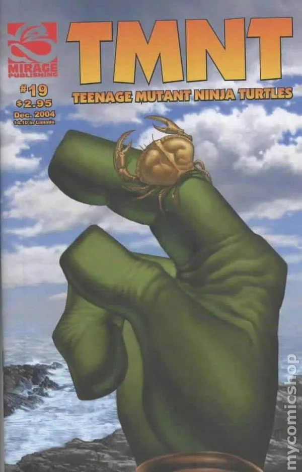 Cover for TMNT: Teenage Mutant Ninja Turtles #19