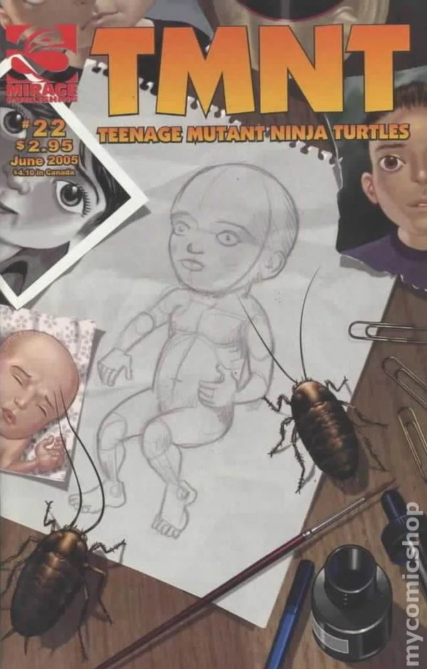 Cover for TMNT: Teenage Mutant Ninja Turtles #22