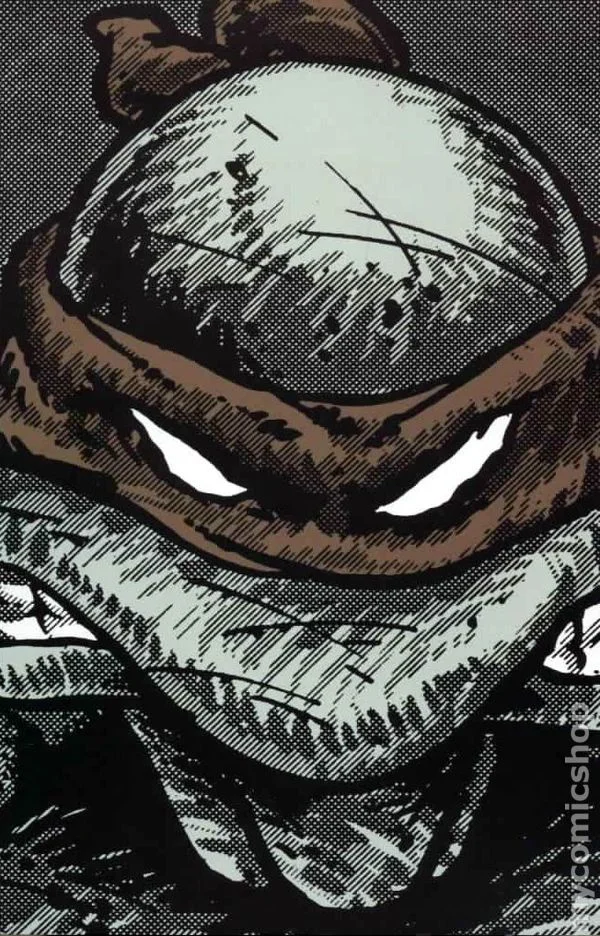 Teenage Mutant Ninja Turtles Collected Book cover