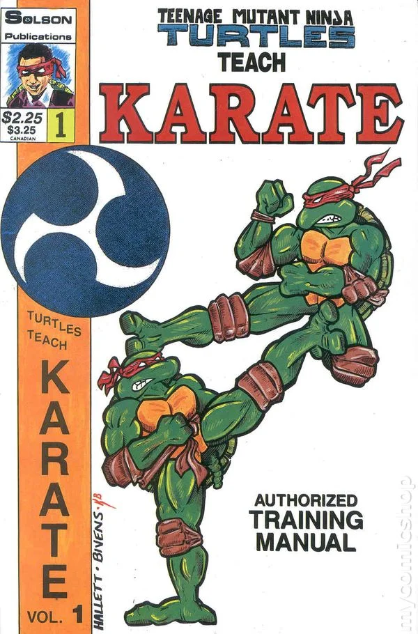 Teenage Mutant Ninja Turtles Teach Karate cover