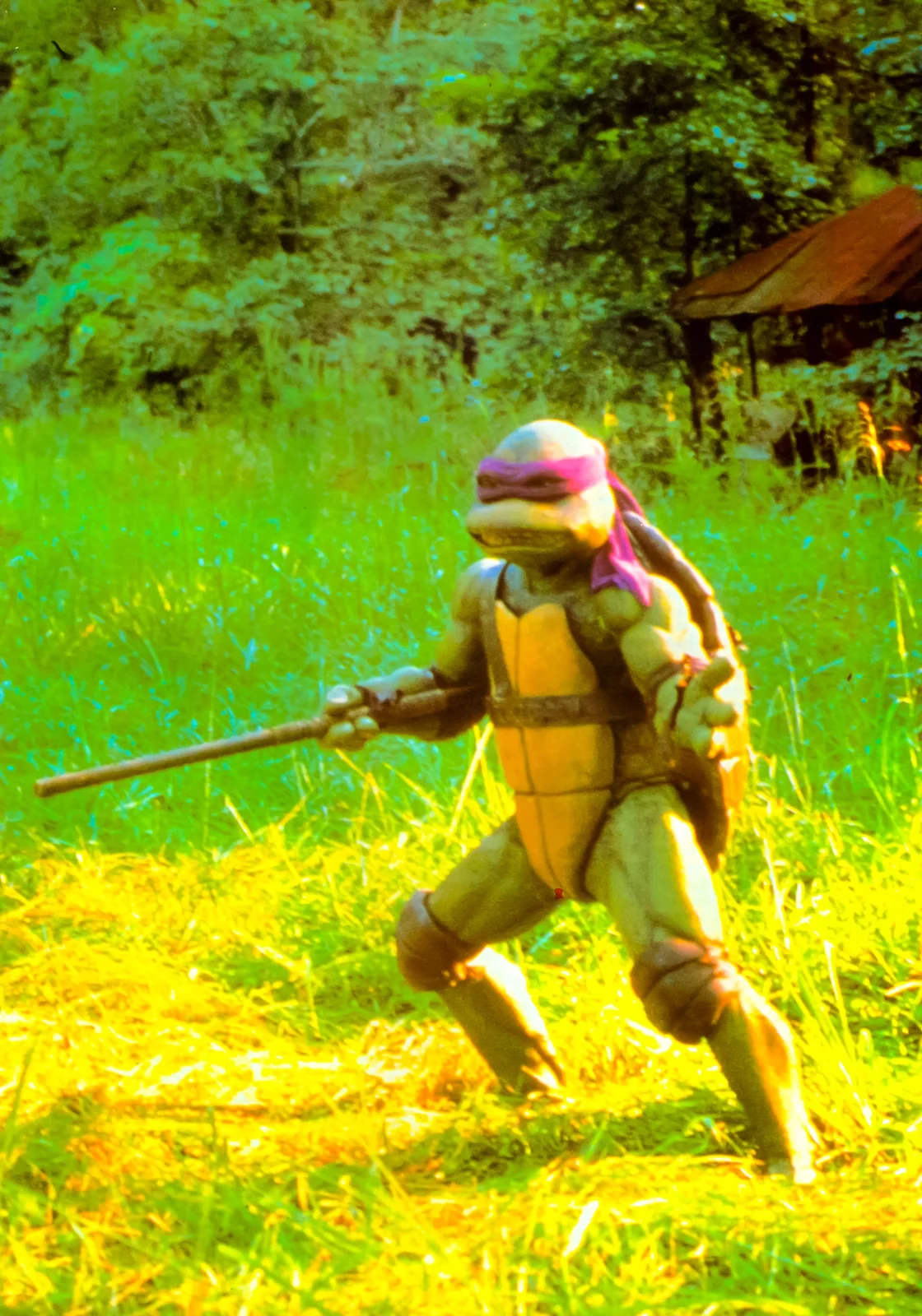 Raph, Casey Jones and the park